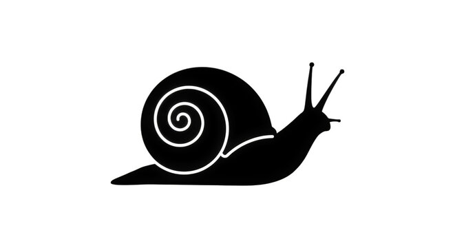 A small snail is slowly crawling along the ground