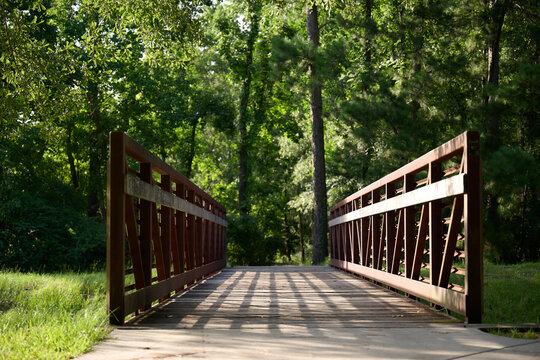 HOUSTON, TEXAS - JULY 15TH 2025: backdrop for high school senior photos, family portraits and dog photography