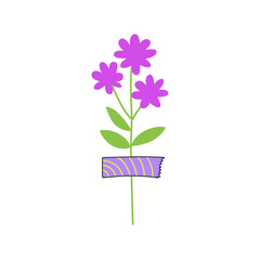 flowers with sticky tape