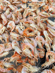 close up of dry shrimps for cooking
