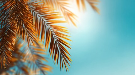 A close-up of palm leaves against a bright blue sky, highlighting vibrant colors and textures, evoking a tropical atmosphere.
