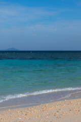 Tropical Beach with Clear Blue Sky