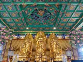 Obraz premium The golden Buddha image stands out among the many Buddha images in the Ten Thousand Buddhas Temple.