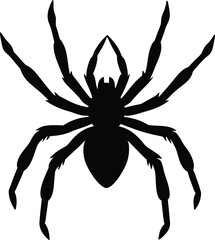 Obraz premium Wolf spider silhouette in walking motion isolated on transparent background