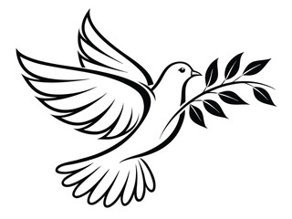 Obraz premium dove on white background