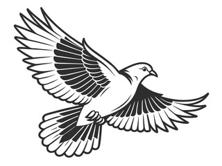 Fototapeta premium dove on white