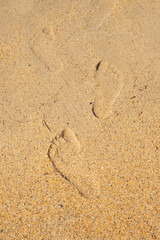 Footprints left on golden sand at a tranquil beach during a sunny afternoon by the sea
