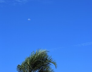 C&eacute;u do Brasil