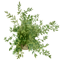 Watercolor illustration of green fern in a pot. Decorative bush illustration isolated on white background. For flower shops, printing on postcards, greeting cards, business cards, etc. High quality