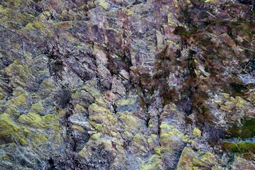 Close up of wet, mossy, highly textured, rock face. 
