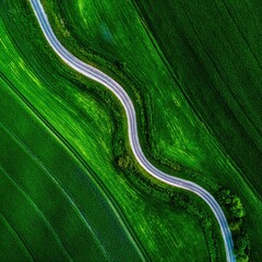 Green Fields and Winding Road