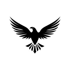 Obraz premium eagle with wings