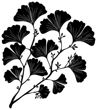 Silhouette of ginkgo bilabo tree element