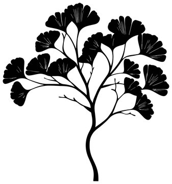 Gingkgo bilabo tree silhouette drawing
