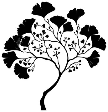 Silhouette of ginkgo bilabo tree element