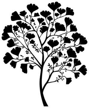 Silhouette of ginkgo bilabo tree element