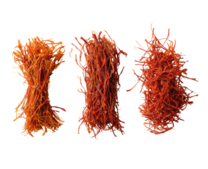 Three clusters of vibrant orange-red filaments,  stacked vertically.  Fuzzy,  textured,  and intricate.  Microscopic view or high magnification