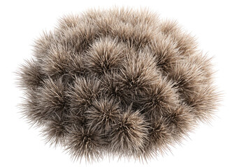 Fluffy, textured, oval-shaped fur rug