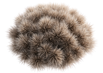 Fluffy, textured, oval-shaped fur rug