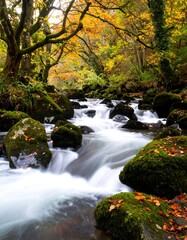 Autumnal stream flowing through a mossy woodland