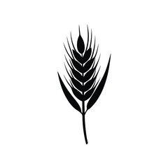 wheat-silhouette-on-white-background