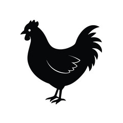 Hen silhouette-on-white-background