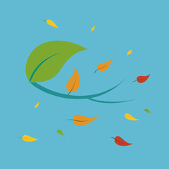 Autumn leaves falling from a branch against a blue sky