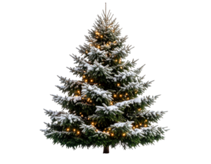 Outdoor Christmas Tree Covered in Snow and Lights – Transparent PNG Prompt
