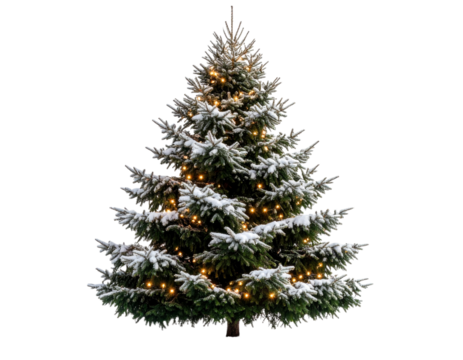 Outdoor Christmas Tree Covered in Snow and Lights – Transparent PNG Prompt
