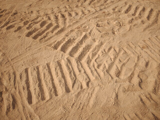 Sandy ground or surface texture and composition. 