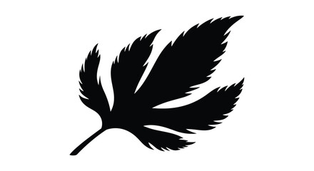 Obraz premium [Simple black plant leaf silhouette on white background]