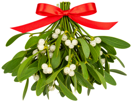 Classic Mistletoe Sprig with White Berries and Red Ribbon – Transparent PNG