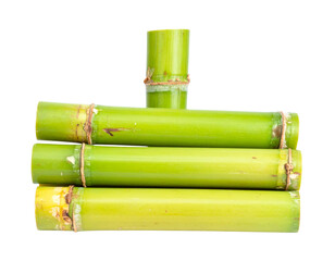 Fototapeta premium bamboo isolated on white background