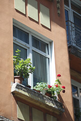 Colorful balcony garden enhances urban apartment charm