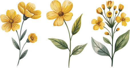 Elegant red floral illustrations, botanical clipart, minimalist flower design, watercolor style plants, spring floral bundle, decorative nature artwork, isolated