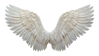 Bright white feathered wings extended gracefully, isolated against a transparent background, perfect for use as a clean PNG graphic element.