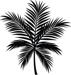 silhouette of palm tree isolated