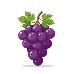 Vivid Bunch of Grapes: A plump and juicy bunch of grapes, bursting with rich purple hues, displays fresh leaves and a natural.