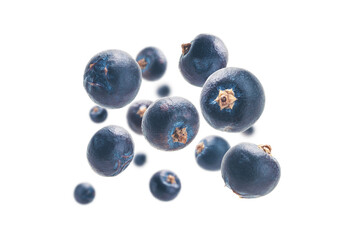 Juniper berries levitate on a white background