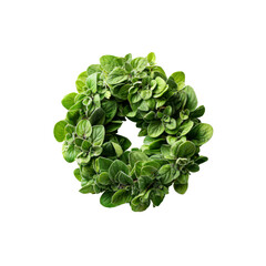 Fototapeta premium Fresh Oregano Wreath Aromatic Herb Circle