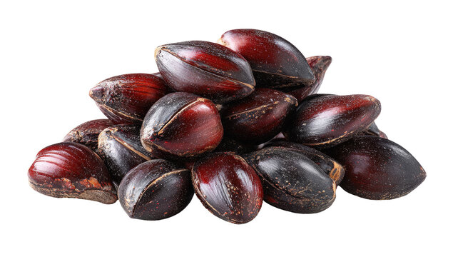 Pile of dark reddish-brown seeds, oval-shaped, clustered densely