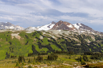 Fototapeta premium Majestic Mountain Landscape with Lush Green Fields and Snow-Capped Peaks