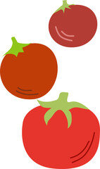 Fruits and Vegetable