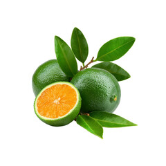 Juicy Green Mandarin Oranges with Leaves Isolated on Black Background