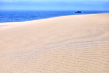 風紋の鳥取砂丘