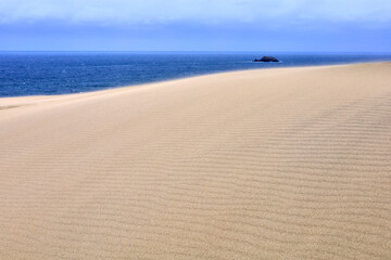 風紋の鳥取砂丘