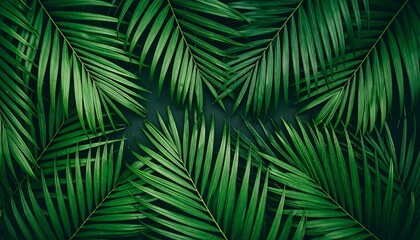 Lush Green Palm Fronds Forming a Natural Geometric Pattern on a Dark Background.