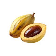 Freshly Harvested Babassu Nuts, One Open to Reveal Seed