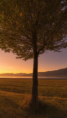Fototapeta premium Lone Tree at Sunset over Calm Lake with Mountains and Golden Light Creates a Peaceful Scene