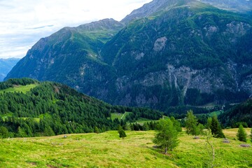 Naklejka premium Explore the stunning beauty of the Austrian Alps in Zell am See-Kaprun. This image features a green meadow with majestic mountains, perfect for tourism in Zell am See-Kaprun, Austria.